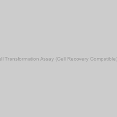 Image of CytoSelect Cell Transformation Assay (Cell Recovery Compatible), Fluorometric